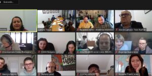 First online Project Meeting