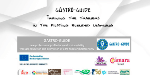 Learning, Teaching, Training Activity in Portaria, Greece