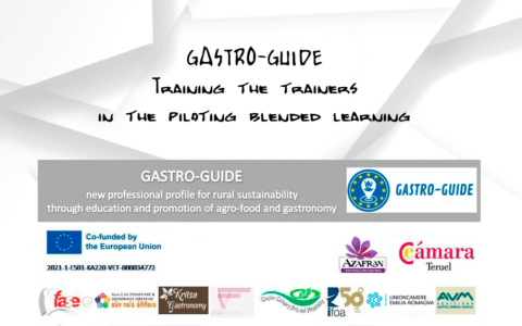 Learning, Teaching, Training Activity in Portaria, Greece